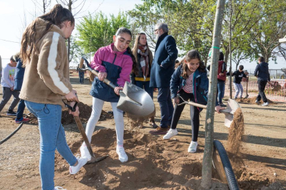 Els alumnes de l’escola Magraners planten arbres al pati