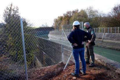 Agentes Rurales y Endesa colaboran en la instalación de la valla perimetral en el Canal de Gavet
