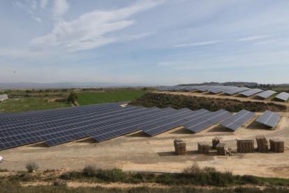 Una instalación reciente de paneles solares en el municipio de Almacelles. 