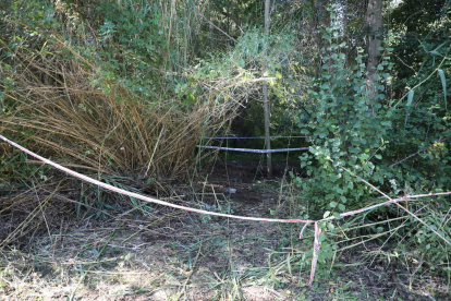 El cadàver estava enterrat en aquest lloc de vegetació frondosa molt a prop del riu a Albesa.