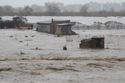 Conreus inundats a la Tordera, a Malgrat.