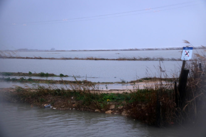 El delta de l’Ebre es troba en emergència després de les destrosses causades pel temporal.