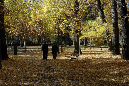 Dos ancianos pasean por un parque.