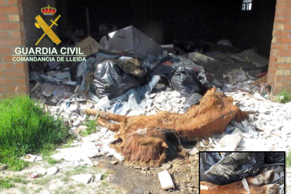 La Guardia Civil localiza el cadáver de un caballo en una nave abandonada de Lleida