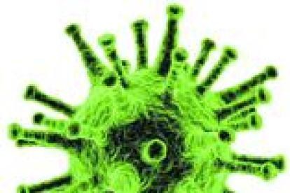 «El sistema inmune de los niños se adapta mejor a los virus»