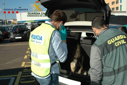 Encuentran un kilo y medio de cocaína en el interior de un coche del depósito municipal de Igualada