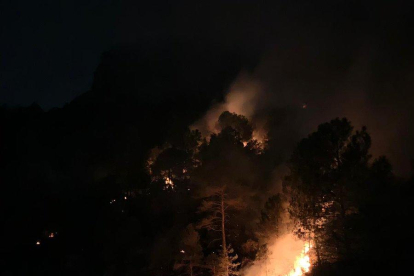 Un incendio forestal quema una hectárea en Coll de Nargó