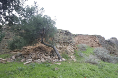 Las piedras desprendidas de la muralla de la Seu Vella.