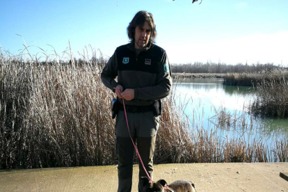 Capturen un gos 'perillós' sense lligar a l'estany d'Ivars i Vila-sana