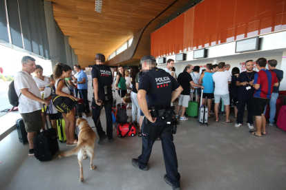 Agents de la Policia Nacional i un gos ensinistrat ahir a la terminal on desenes de viatgers feien cua per embarcar.