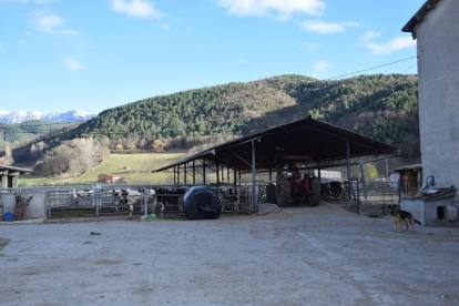 Una de las granjas de La Seu d’Urgell que ha sido inspeccionada. 