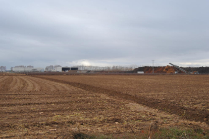 La zona donde estaba prevista la planta de biomasa, cerca de las instalaciones de Certiplant.