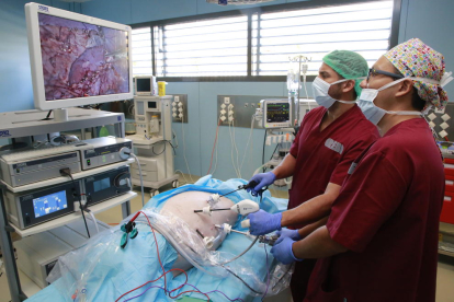 En el primer curso de cirugía laparoscópica urológica en el Creba.