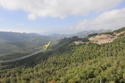 Imatge d’una avioneta fumigant per combatre la processionària en un bosc de l’Alt Urgell.