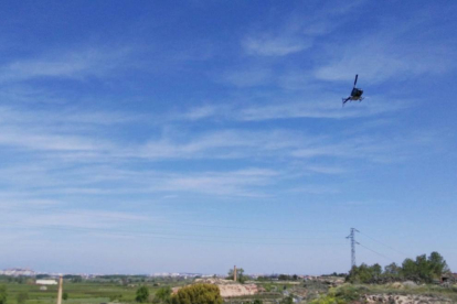L’helicòpter va actuar en diferents trams del riu Segre.