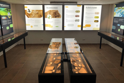 Vista de la nueva exposición de fósiles en el Centre d’Interpretació del Montsec en Vilanova de Meià.