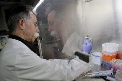 Creen un medicament genètic que fa efectiva la vacuna contra el càncer