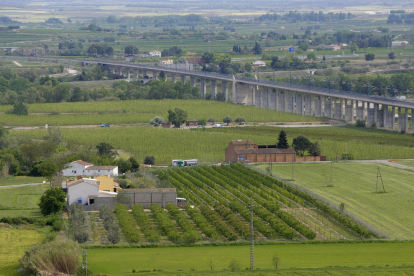 Vista de parcel·les productives de l’Horta de Lleida, situades al costat del ‘bypass’ de l’AVE a Rufea.