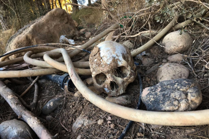 Troben dos cranis humans en una finca de Gimenells