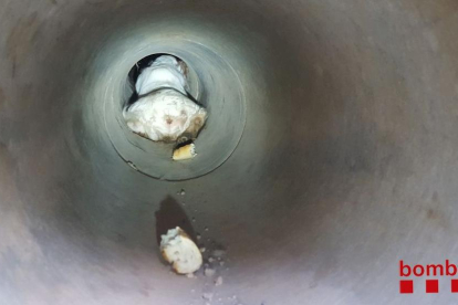 Rescaten un gos abandonat dins d’un tub de reg a prop de Torres Salses