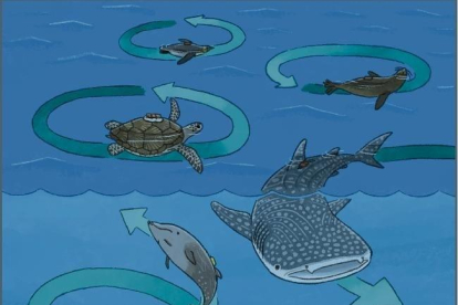 Tiburones, pingüinos y tortugas nadan en círculos y de forma muy parecida