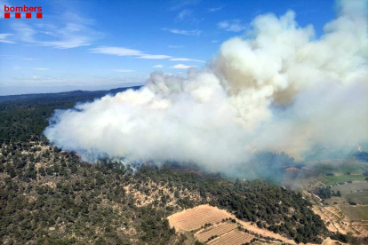 Imatge aèria de l’incendi declarat ahir al migdia a Senan, que va arribar al terme de Fulleda.