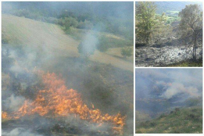 El fuego del martes calcinó 4,5 hectáreas.
