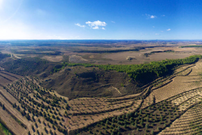 Vista de los paisajes que recorre la ruta de Puigverd de Lleida.
