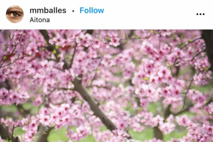 Instagram ha florit