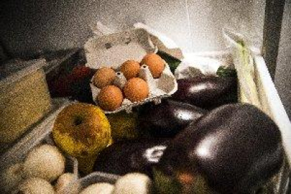Inmovilizan en Bizkaia una partida de 20.000 huevos contaminados con fipronil