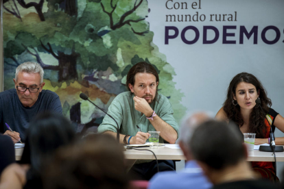 Iglesias va participar en el consell ciutadà estatal de Podem.