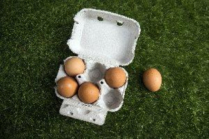 La crisi dels ous amb fipronil evidencia les esquerdes del control alimentari a la UE