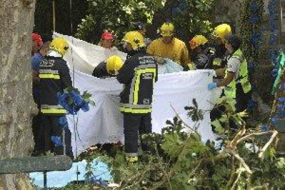 Varias muertos tras caer un árbol durante una romería en Madeira