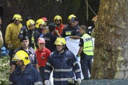 Algunes morts després de caure un arbre durant una romeria a Madeira