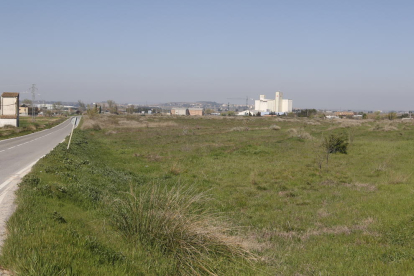 Els terrenys on s’ubicarà la nova àrea industrial dels Alamús.