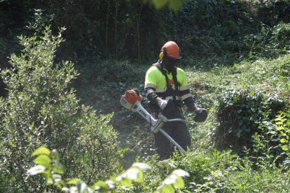 Un operari d'Endesa realitza tasques de neteja forestal.