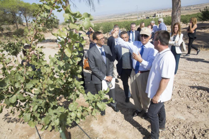 Josep Pont dóna explicacions als visitants de la plantació de Mas de Colom, en una imatge d’ahir.