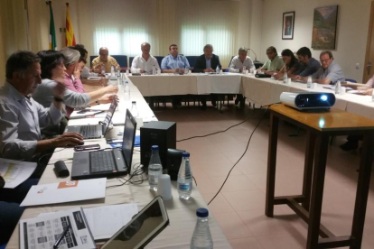 La reunió de la comissió assessora del Pallars.