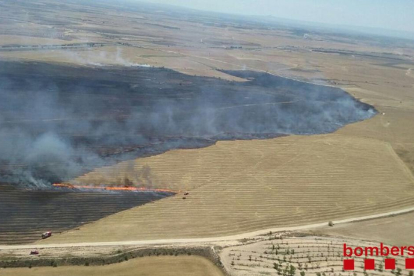 Fins a 70 hectàrees calcinas per un foc en camps agrícoles a Artesa de Lleida