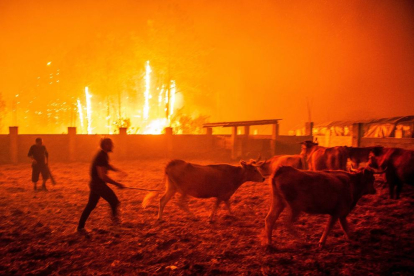 Diversos homes posen fora de perill el bestiar durant un incendi forestal