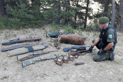 Armas y animales intervenidos a los cazadores en Montferrer. 