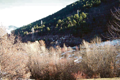 Imagen de archivo del bosque de la Mata, ubicado en la zona periférica del Parc Nacional.