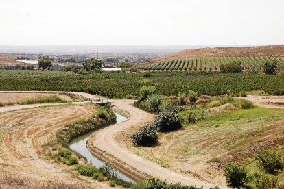Vista de parcel·les de l’Horta amb diferents cultius travessades per una canalització de reg a la zona de Torres de Sanui.
