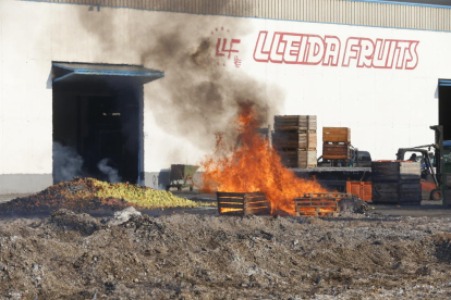 Un bomber, davant de les flames a l’exterior d’aquesta empresa situada als afores del barri de Pardinyes.