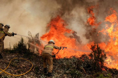 Los bomberos portugueses luchan contra las llamas en un bosque de Vale das Porcas, en el centro del país.