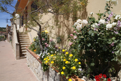 Un veí de Juneda cuidant les flors i plantes que té al balcó per deixar-les a punt de cara a la valoració del jurat.