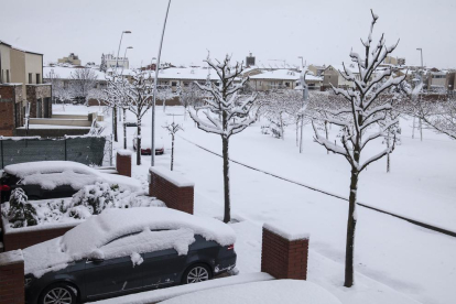 Más de 9.000 abonados sin luz por el temporal de nieve en 22 municipios