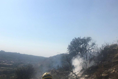 Una imatge de l'incendi a Guimerà.