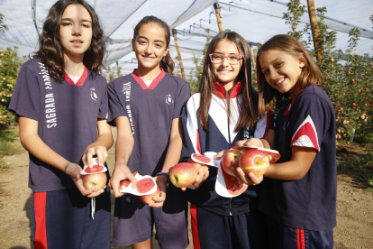 Els escolars van visitar la finca d’Agro Massot i van collir algunes pomes pink lady.