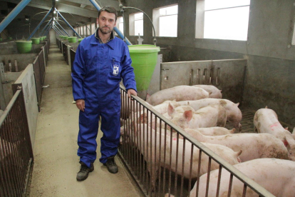 Lluís Baró, a la granja de porcs a Balaguer.